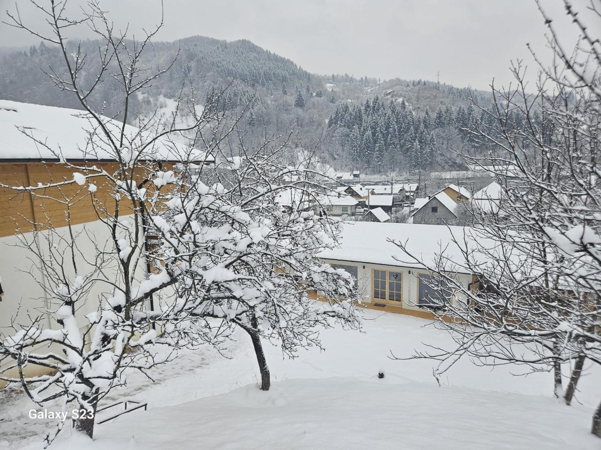 Casa Mara Viseu De Sus Vişeu de Sus Exterior foto