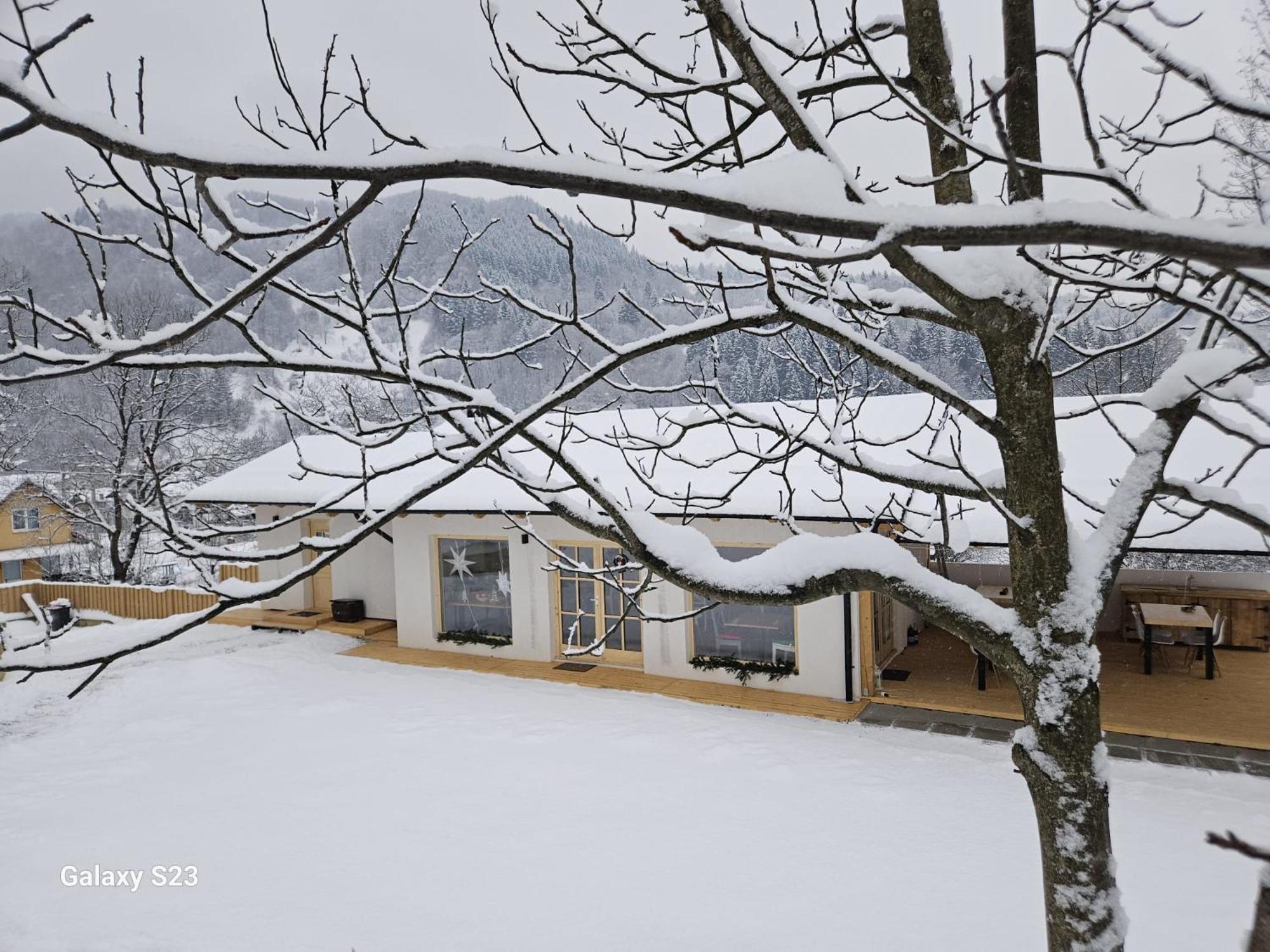 Casa Mara Viseu De Sus Vişeu de Sus Exterior foto